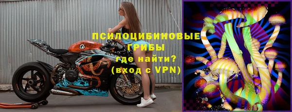 дурь Саяногорск