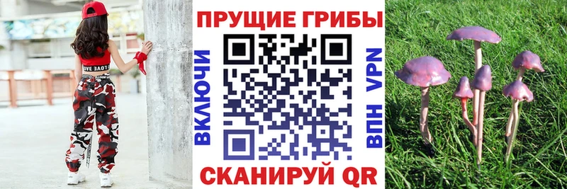 Псилоцибиновые грибы Psilocybine cubensis Туймазы