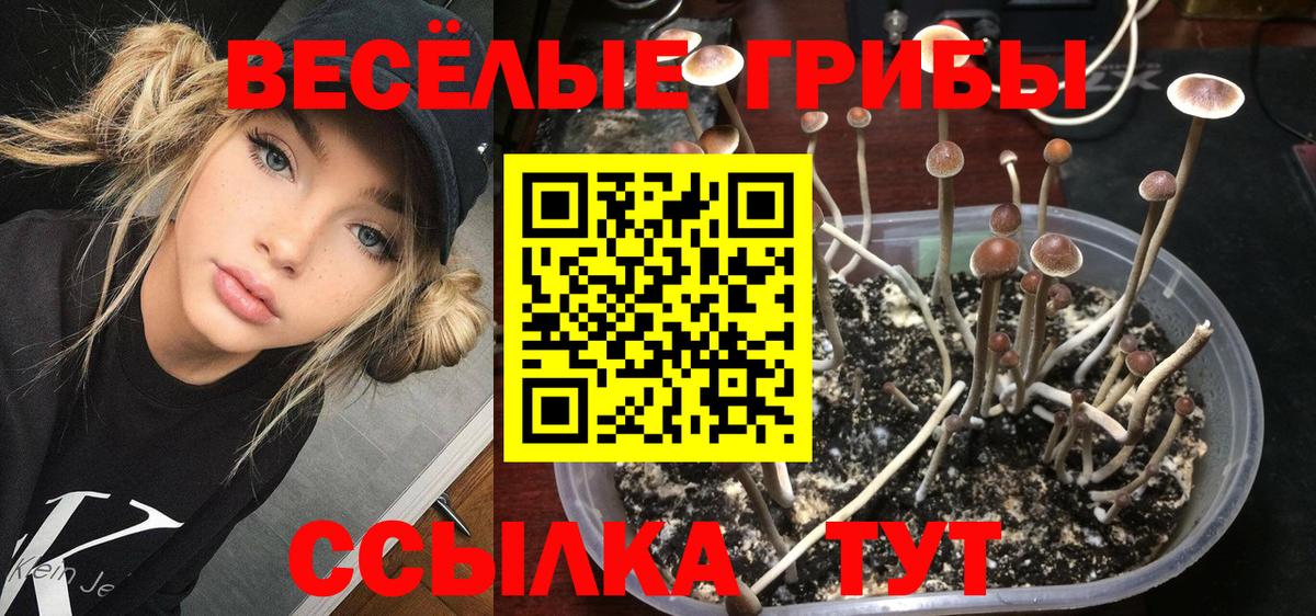 Псилоцибиновые грибы мицелий  Вход с VPN  Галлюциногенные грибы мухоморы  Туймазы 
